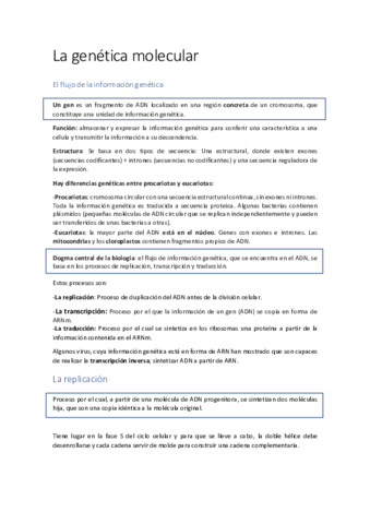 Esquemas-de-biologia-bloque-de-ADN-2.pdf