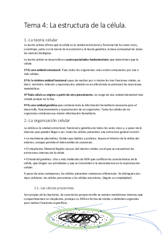 Biologia-unidad-4.pdf