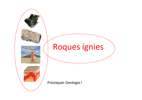 RoquesigniespractiquesCA.pdf