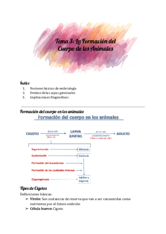 Tema-3-Zoologia.pdf