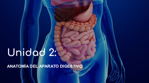 Presentacion-fisiopatologia-UD2.pdf