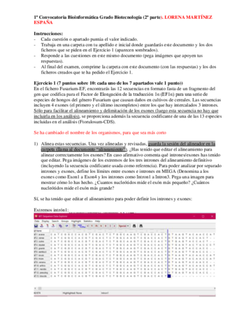 Examen-David-1.pdf