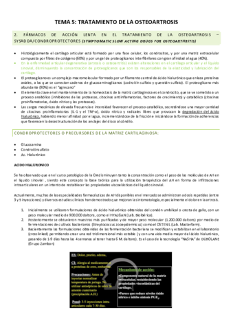 TEMA-5TTO-OSTEOASTROSIS.pdf