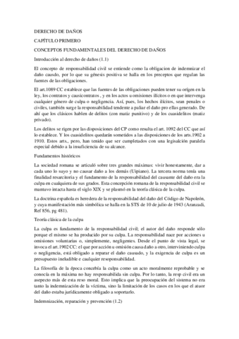 DERECHO-DE-DANOS.pdf