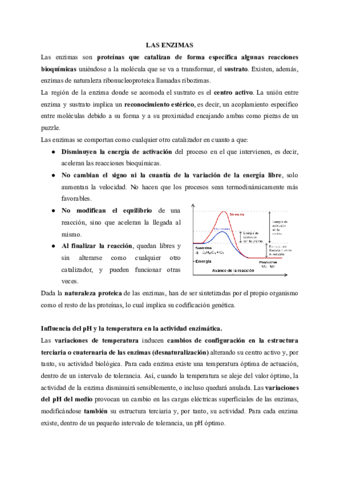 ENZIMAS.pdf