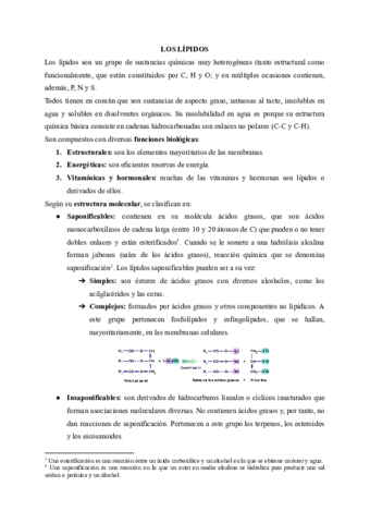 LOS-LIPIDOS.pdf
