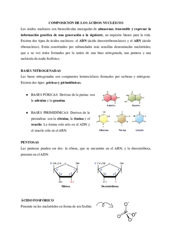 NUCLEOTIDOS-Y-ACIDOS-NUCLEICOS.pdf