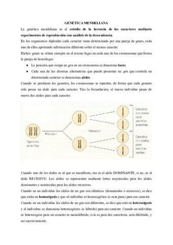 GENETICA-MENDELIANA-y-MICROBIOLOGIA.pdf