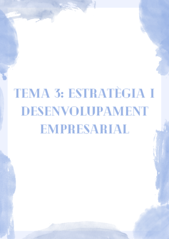 TEMA-3-ESTRATEGIA-I-DESENVOLUPAMENT-EMPRESARIAL-1.pdf