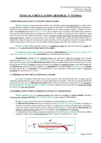 TEMA-16.pdf