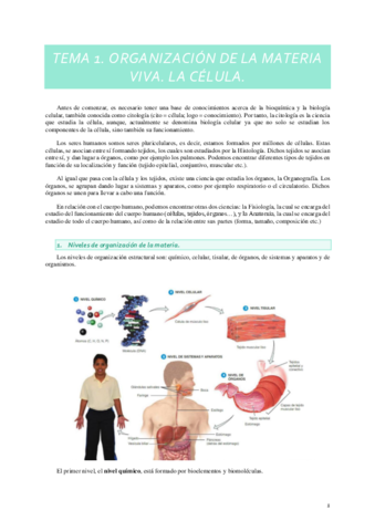 Bases-biologicas-del-movimiento.pdf