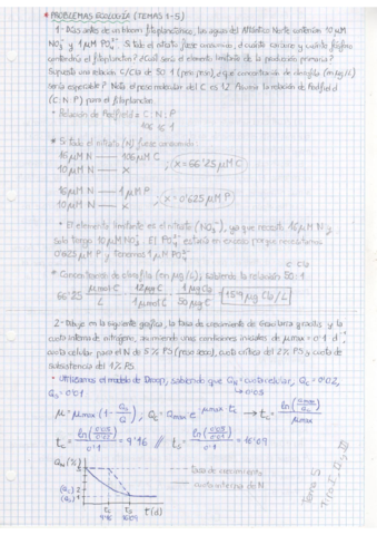 Problemas resueltos temas 1-5.pdf