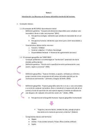 Tema-1-RTT.pdf