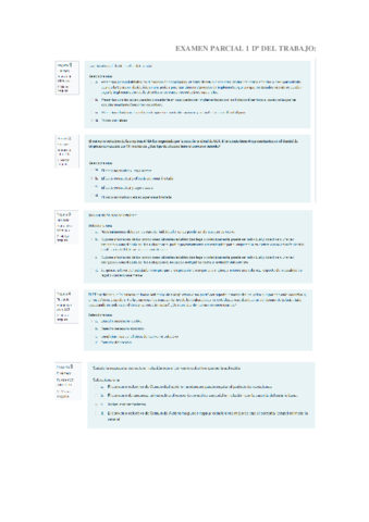 Examen-Parcial-Do-Trabajo-.pdf