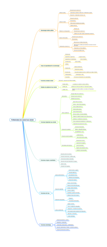 Mapa-Mental20229621125.pdf