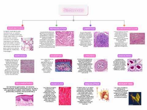 Sistemas-y-Tejidos.pdf