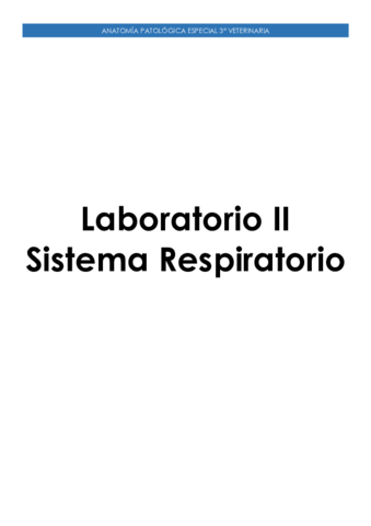 Laboratorio-II-Sistema-Respiratorio.pdf