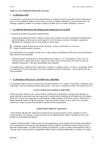 TEMA-6-CIVIL-IV.pdf
