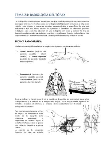 TEMA 24. TÓRAX.pdf