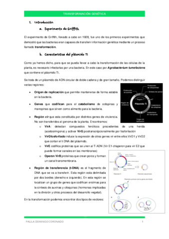 TEMA-8-CIV.pdf