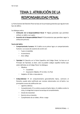 Derecho-Penal-Tema-1.pdf