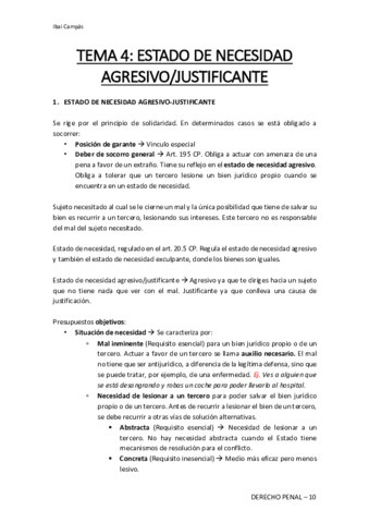Derecho-Penal-Tema-4.pdf