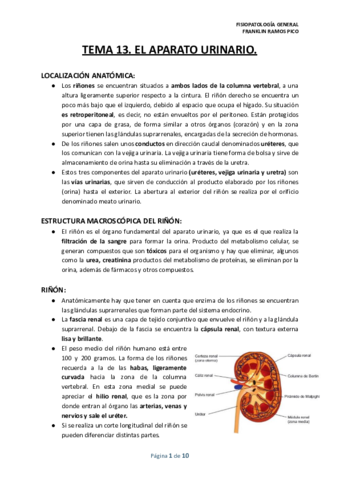 TEMA-13.pdf