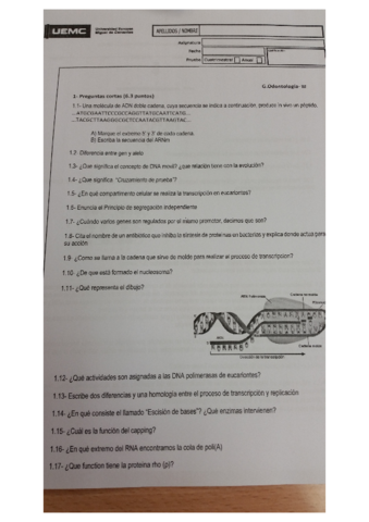 Examen-bioquimica.pdf