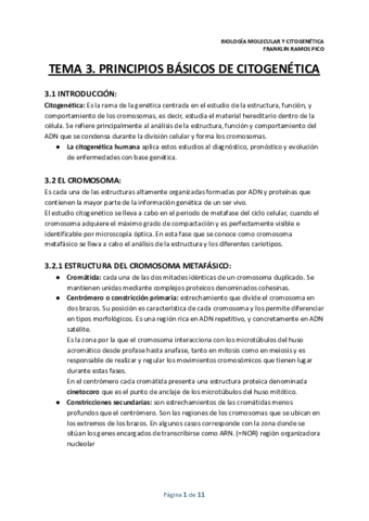 TEMA-3.pdf