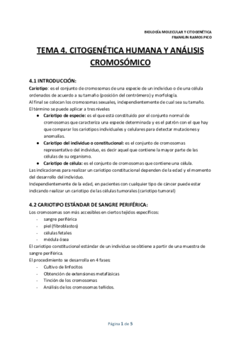 TEMA-4.pdf