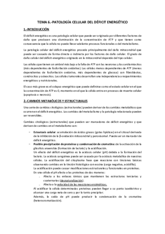 Tema 6.-Déficit energético.pdf