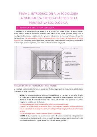 tema-1-sociologia.pdf