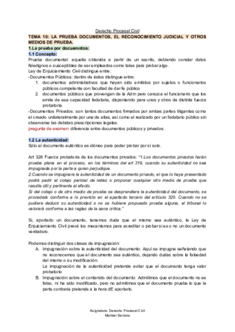 TEMA-10-Derecho-Procesal-Civil.pdf