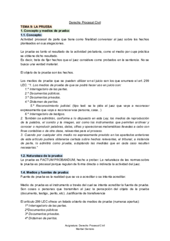 TEMA-9-Derecho-Procesal-Civil.pdf