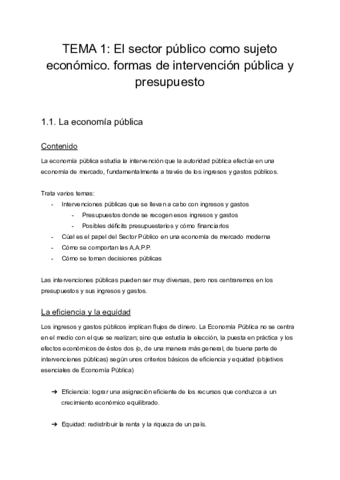 Tema-1-Publica-I.pdf