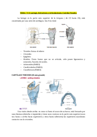 TEMA-7-Y-8-Laringe.pdf