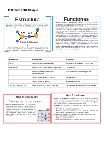 BIOLOGIA-T1-BIOMOLECULAS-2obach.pdf