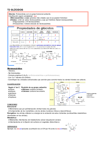 BIOLOGIA-T2-GLUCIDOS-2obach.pdf
