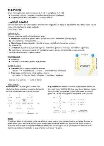 BIOLOGIA-T3-LIPIDOS-2obach.pdf