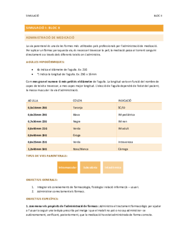 Simulacio-I-Bloc-II.pdf
