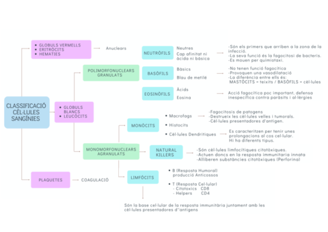 Classificació de les cèl·lules