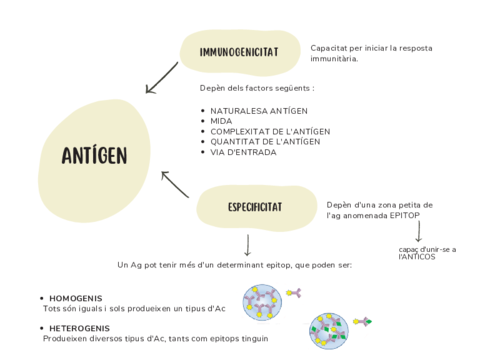 Caracteistiques-antigen.pdf