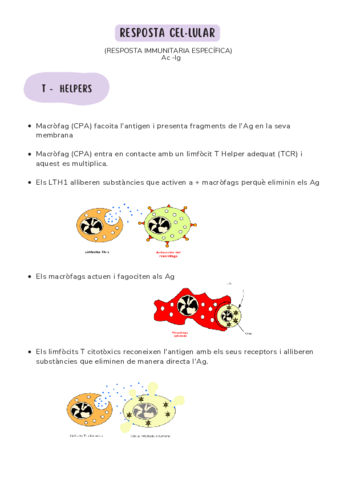 Immunitat específica cel·lular