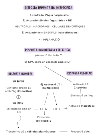 Esquema-resposta-immunitaria.pdf