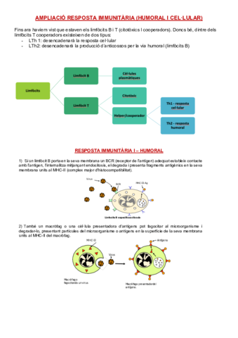 Resposta-Humoral-i-Cellular.pdf