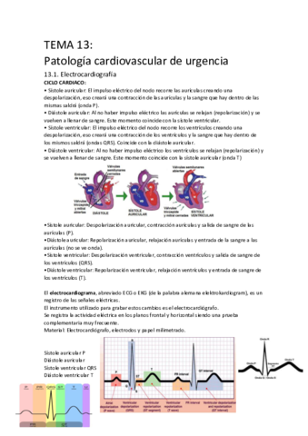 TEMA-13-ASESE-2.pdf
