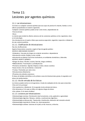 Tema-11-ASESE.pdf