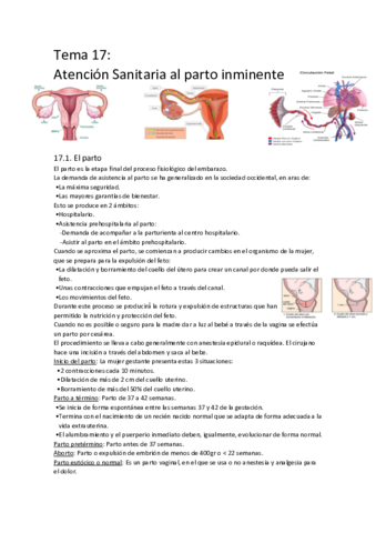 Tema-17-asese.pdf