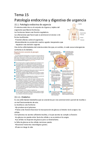 Tema-15-ASESE.pdf