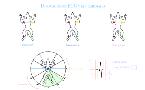 Derivacion-Ecg-Y-Eje-Cardiaco.pdf